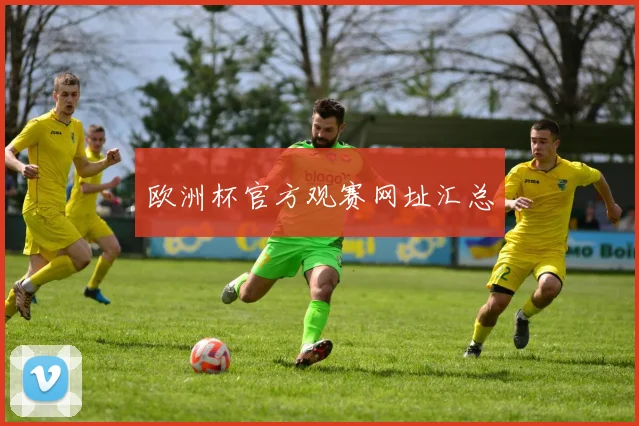 欧洲杯官方观赛网址汇总